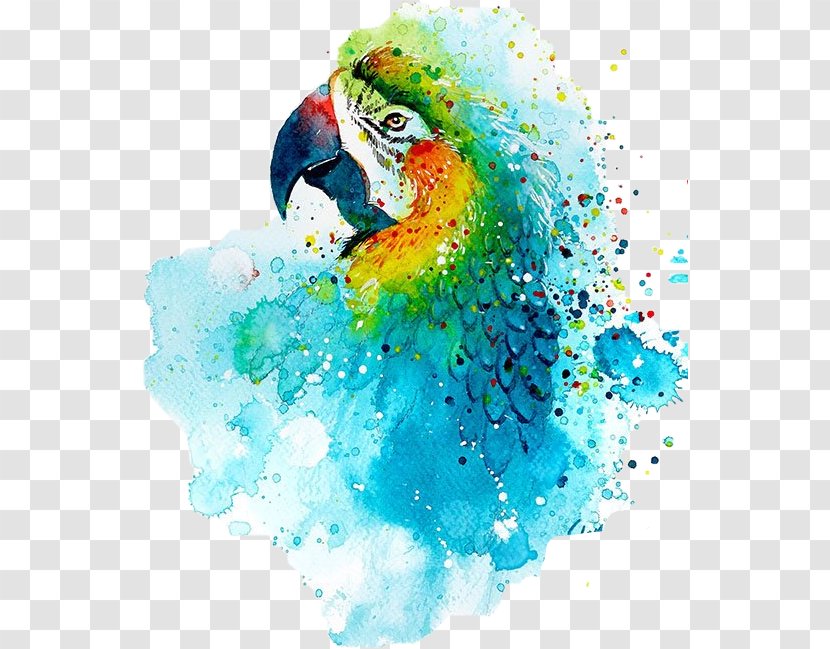 Watercolor: Animals Watercolor Painting Artist - Bird Transparent PNG