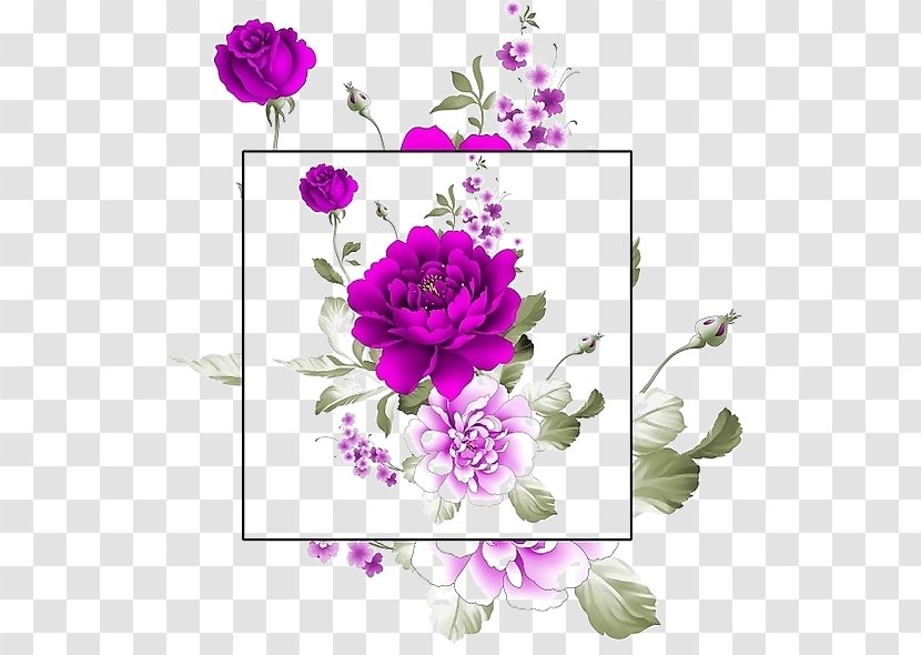 Garden Roses Beach Rose Centifolia Flower Watercolor Painting - Purple Peony Border Transparent PNG