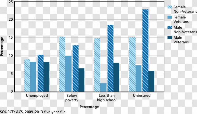 United States Department Of Veterans Affairs Statistics Homeless In The Military - Survey Methodology Transparent PNG