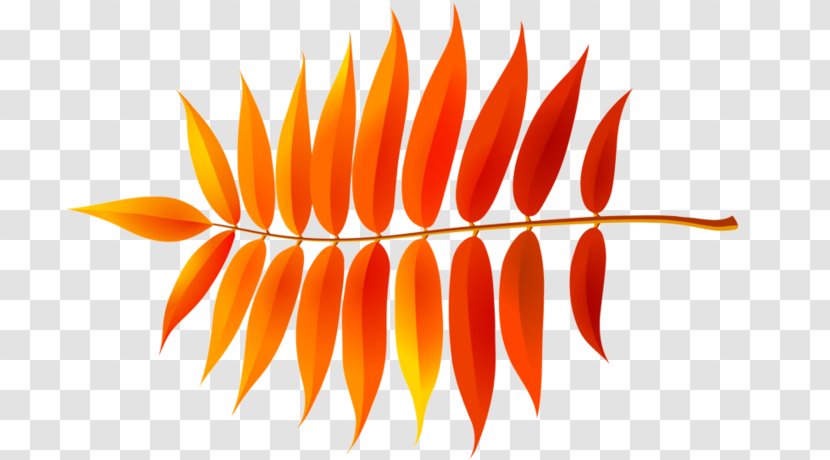 Line Orange S.A. - Leaf - Rosin Transparent PNG