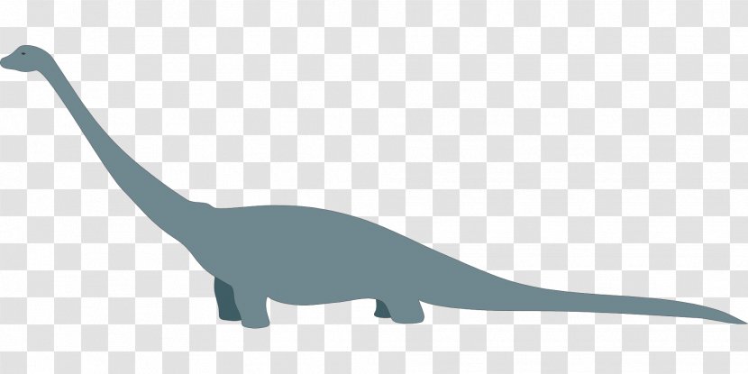 Dinosaur Tyrannosaurus Long Tail Diplodocus Clip Art Transparent PNG