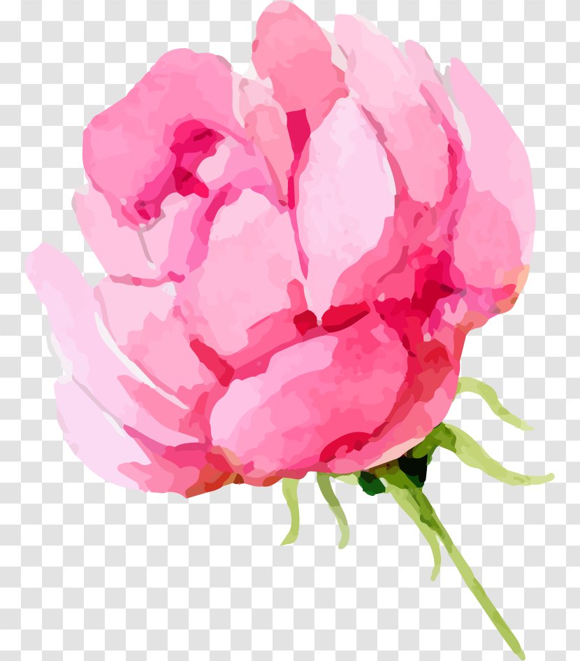 Clip Art Peony Transparency Image - Watercolor Painting Transparent PNG