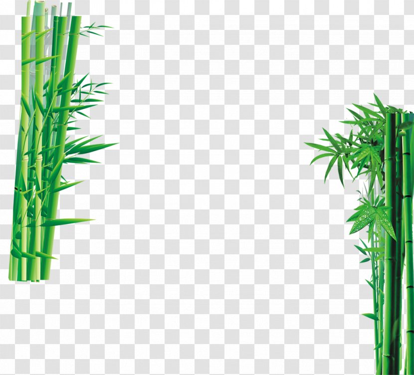 Sweet Bamboo Green - Grasses Transparent PNG