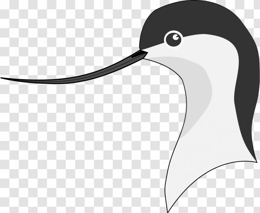 Pied Avocet Beak Penguin Bird Clip Art Transparent PNG