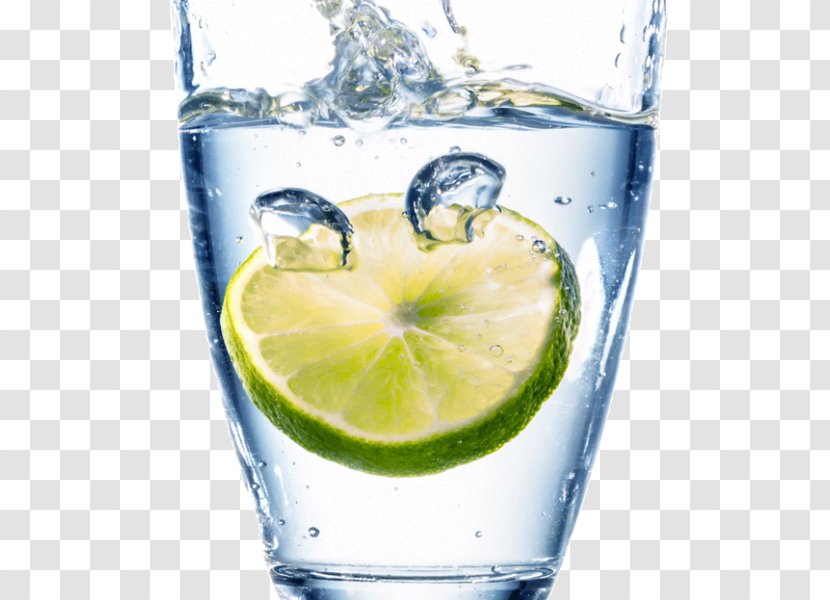 Drinking Water Lemon Health - Highball Glass Transparent PNG
