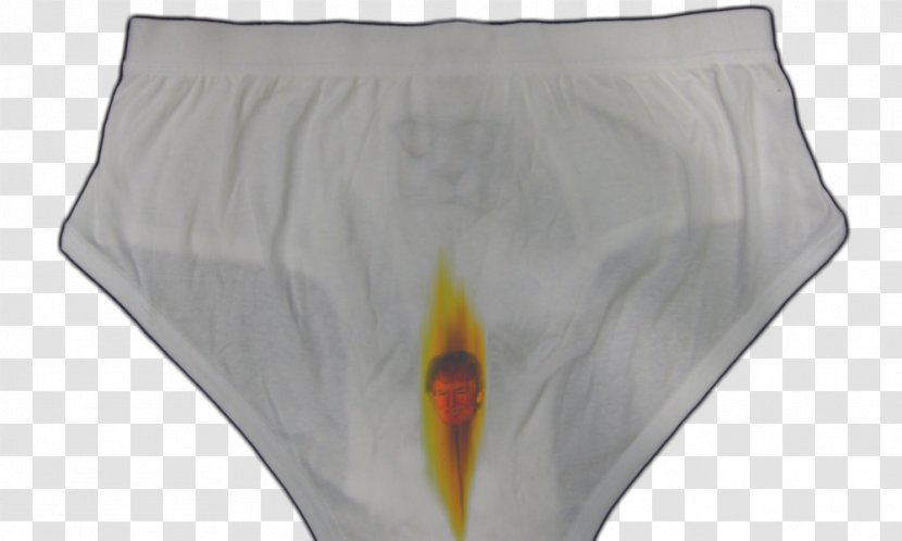 Swim Briefs Underpants Swimming - Cartoon - Flower Transparent PNG