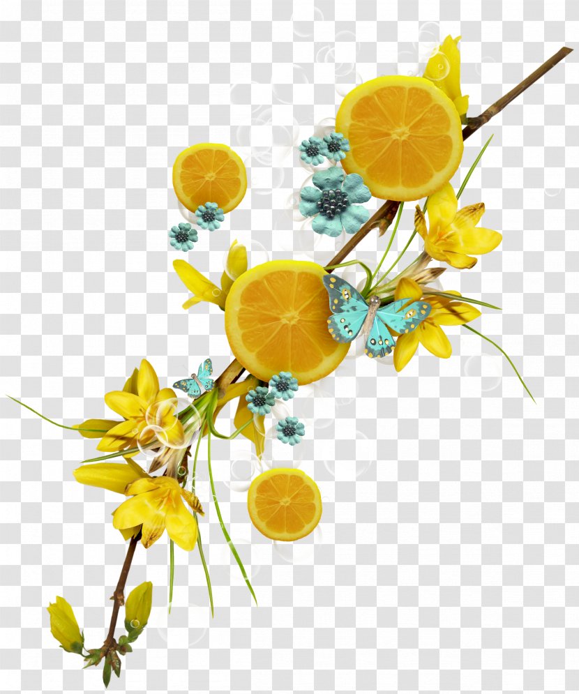Lemon-lime Drink Auglis Lemon Pepper Fruit - Cut Flowers - Lace Transparent PNG