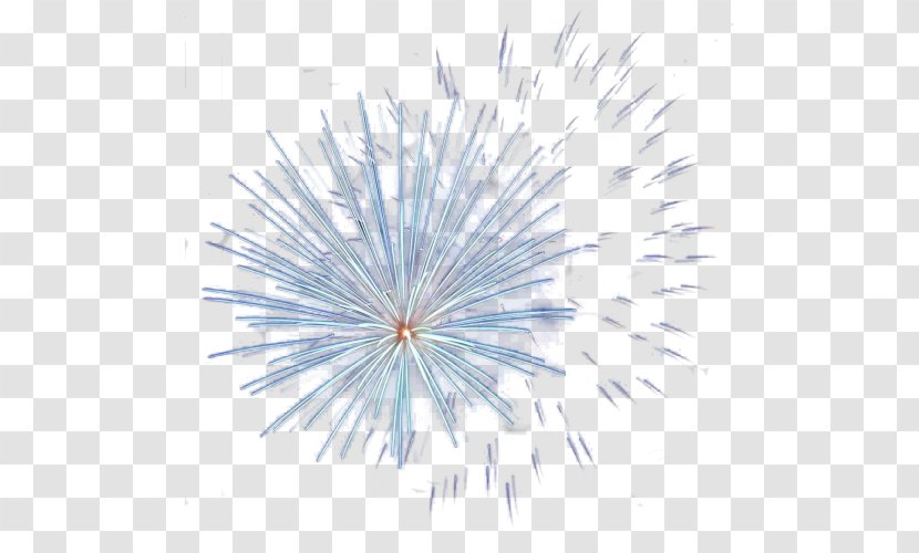 Clip Art - Sky - Fireworks Transparent PNG