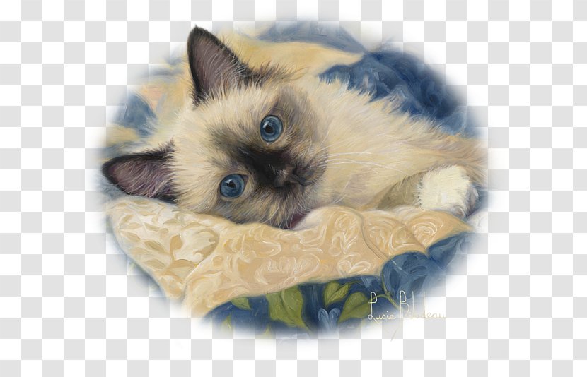 Siamese Cat Painting Whiskers Painter - Canvas - Charming Transparent PNG