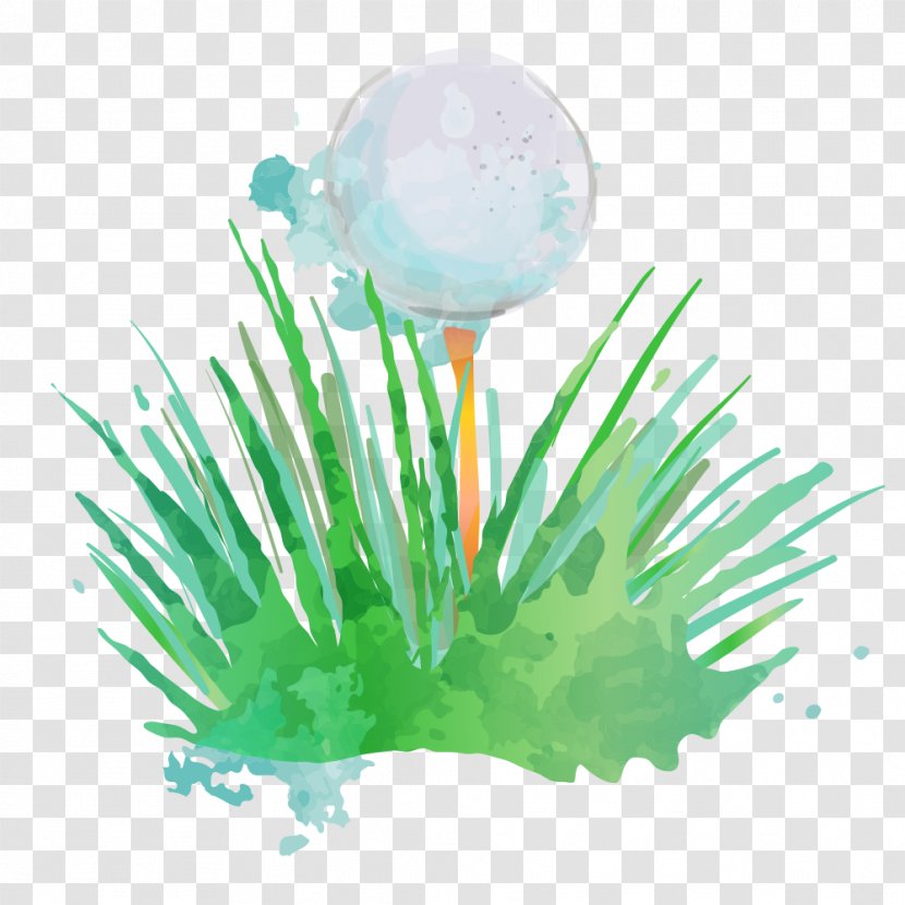 Golf Ball Club Watercolor Painting - Grass Transparent PNG
