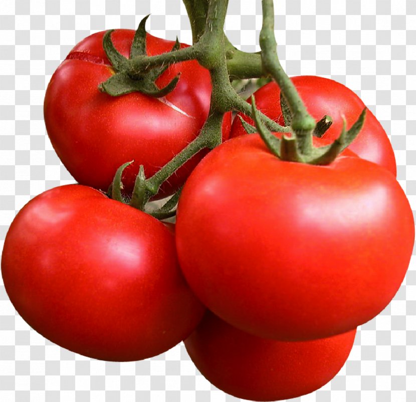 Organic Food Bhurta Tomato Baingan Bharta Seed - Plum - Vector Transparent PNG
