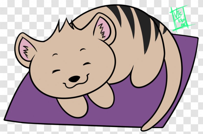 Pig Cat Snowball Neko Atsume Character - Frame Transparent PNG