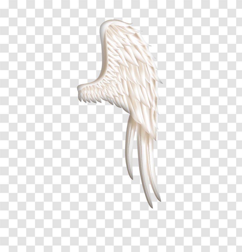 Bird Wing Icon - Beak - White Wings Material Transparent PNG