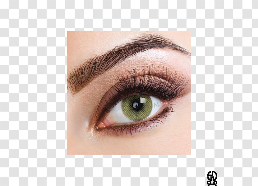 Eyebrow Eyelash Extensions Threading Permanent Makeup - Color - Eye Transparent PNG