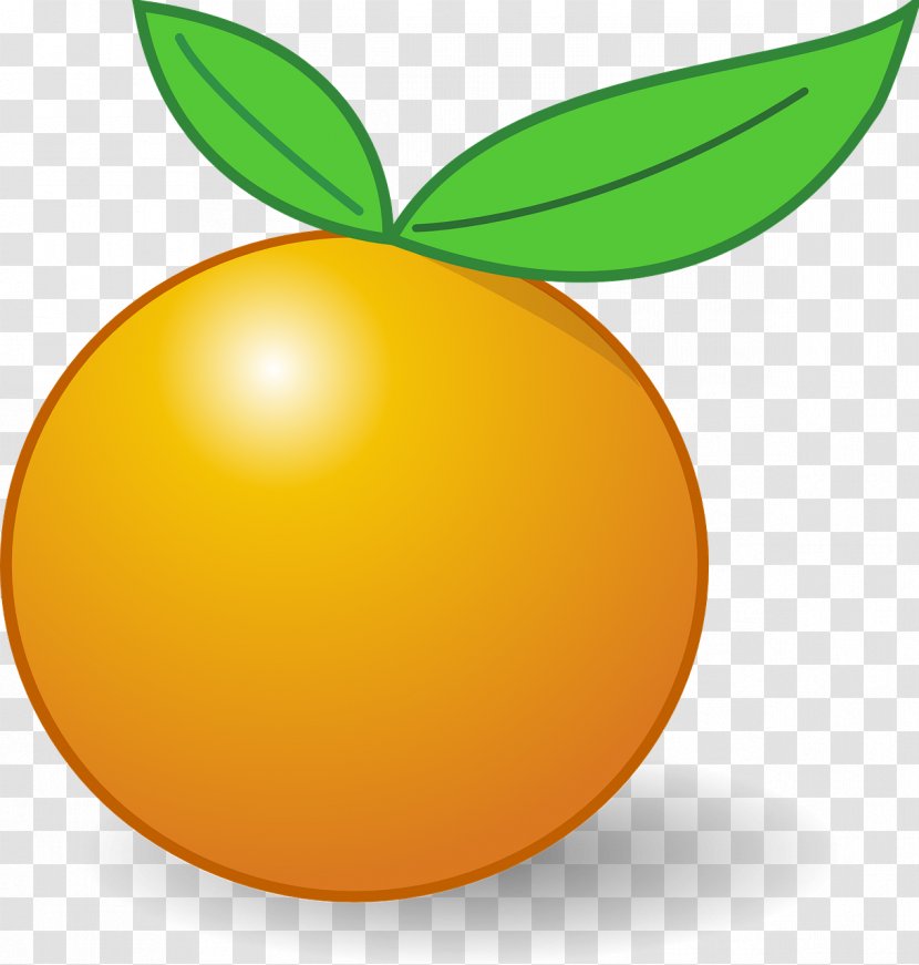Clementine Tangerine Clip Art - Citrus - Apricot Transparent PNG