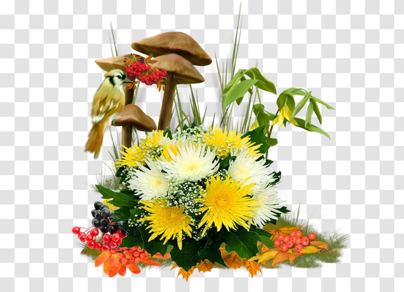 Chrysanthemum Transvaal Daisy Flower Digital Image - Pixabay - Mushrooms And Chrysanthemums Transparent PNG