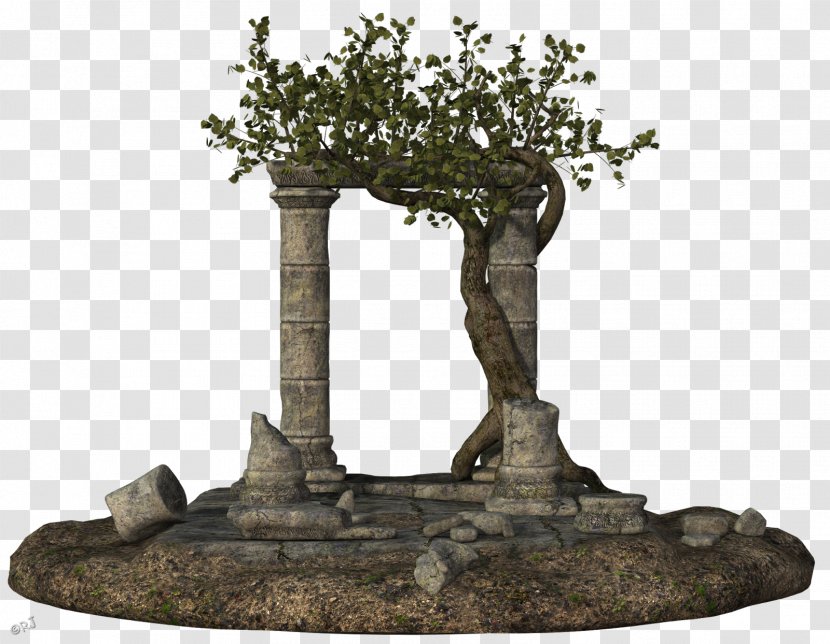 Bonsai Sculpture Tree - Houseplant Transparent PNG