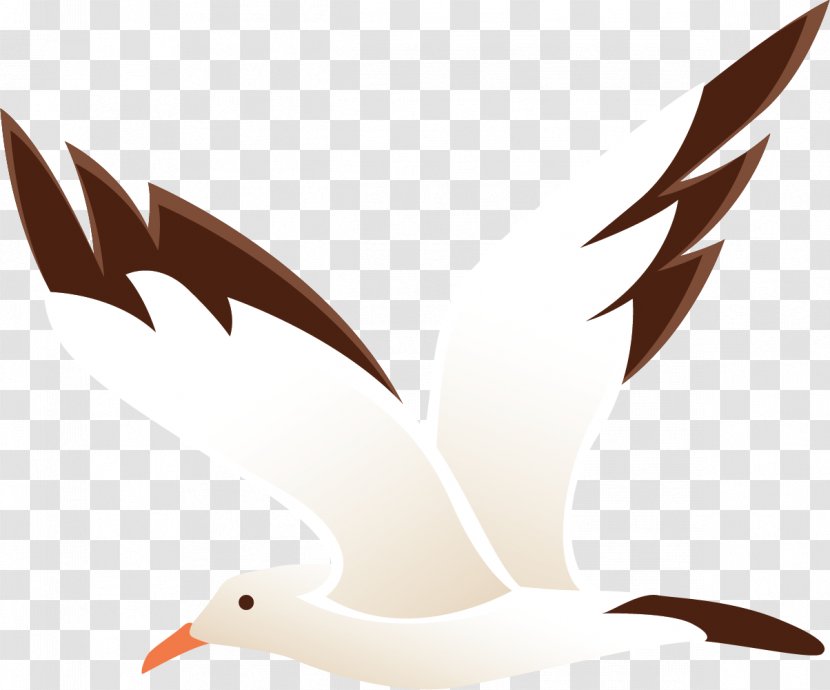Beak Water Bird Feather Wing - Independent Wild Goose Transparent PNG