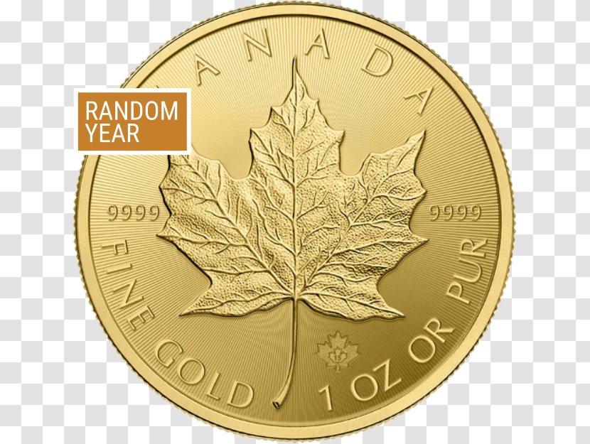 Canada Canadian Gold Maple Leaf Bullion Coin Ounce - Tree Transparent PNG