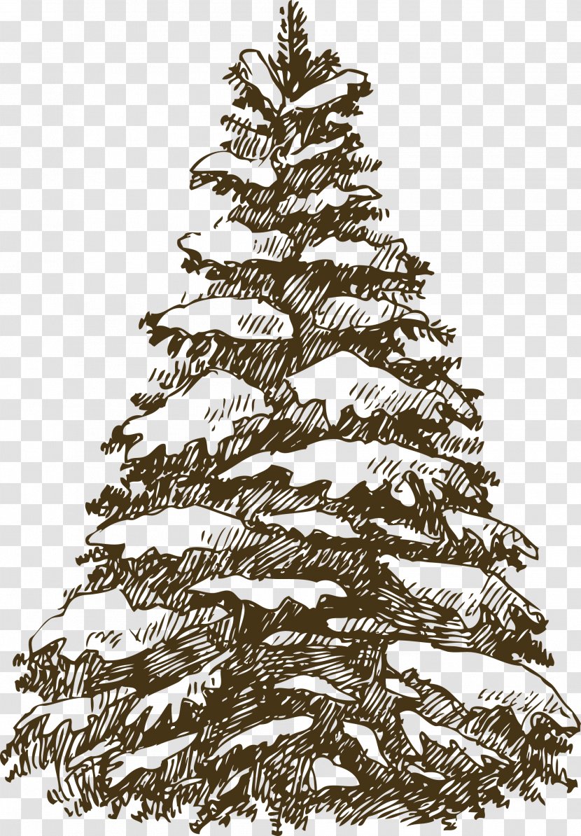 Christmas Tree Fir Ornament Illustration - Snowflake - Vector Transparent PNG