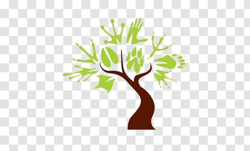 Branch Wildlife Tree Logo - Organism Transparent PNG