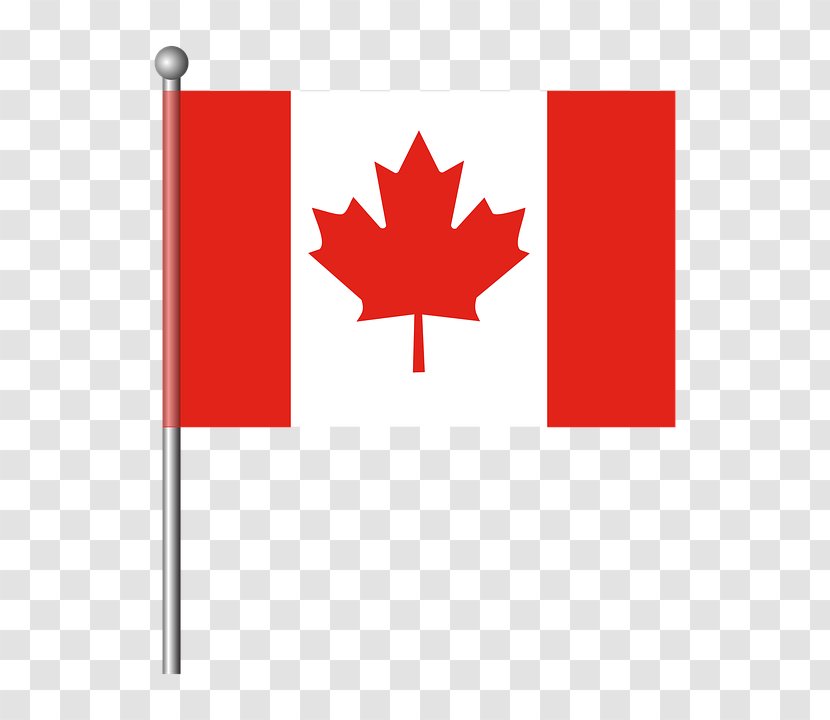 The National Flag Of Canada: A Profile Vector Graphics - Red - Graveside Transparent PNG
