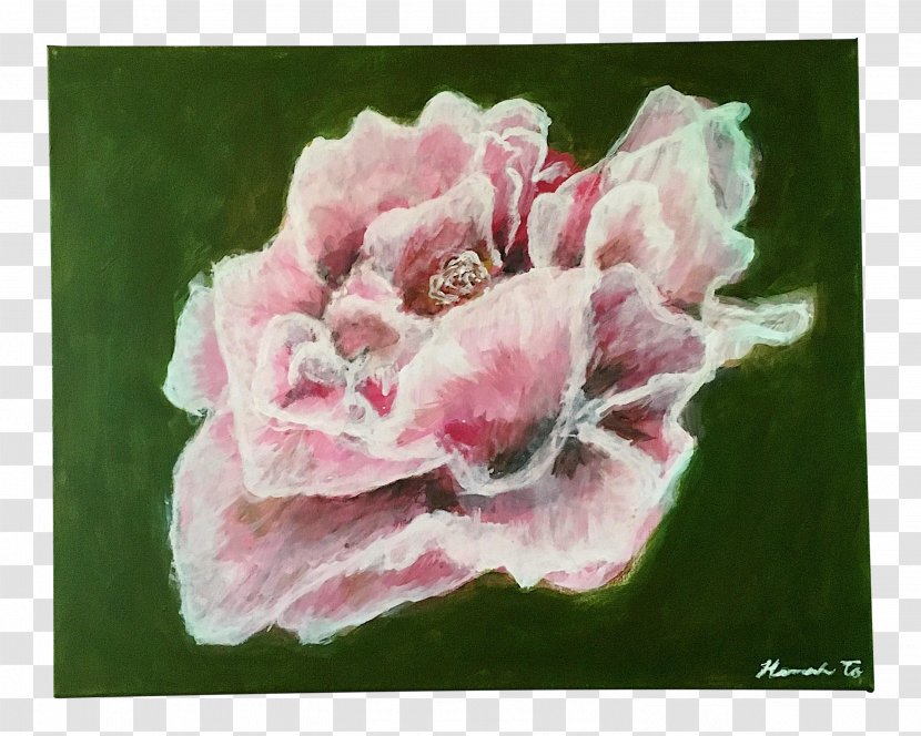 Centifolia Roses Garden Watercolor Painting Peony Transparent PNG