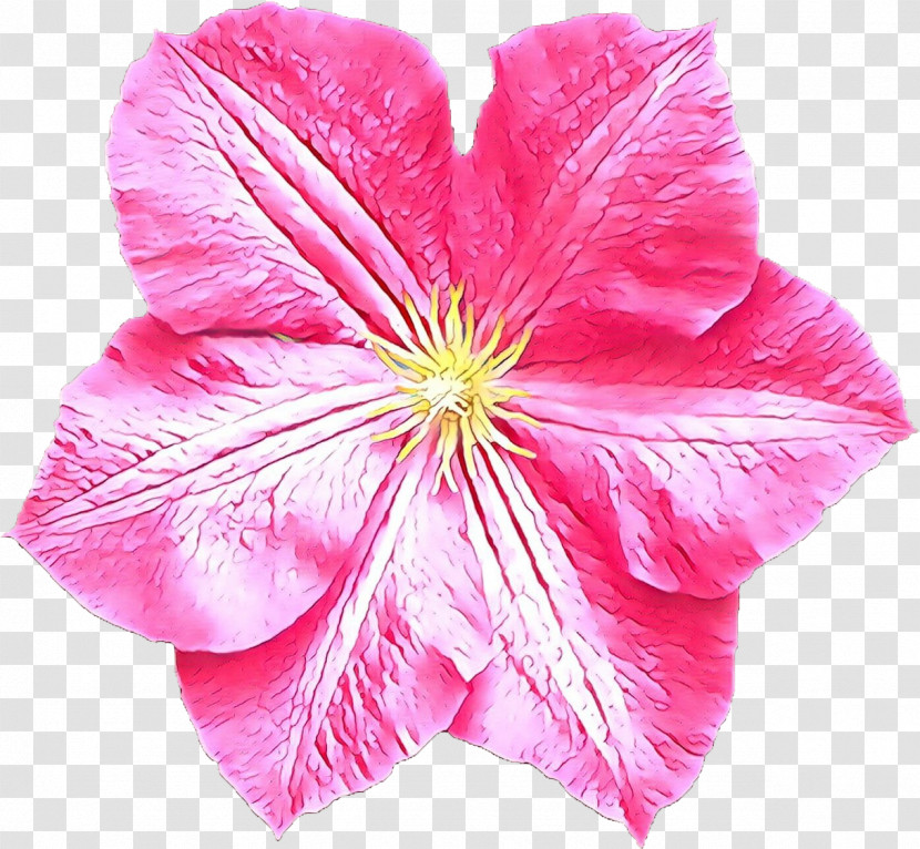 Petal Flower Pink Plant Leaf Transparent PNG