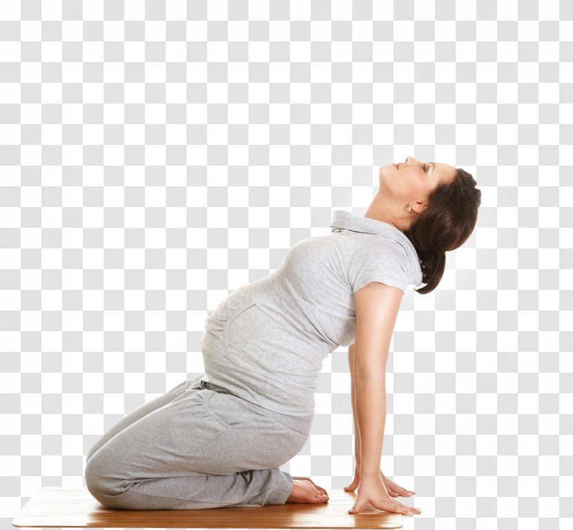 Pregnancy Childbirth Yoga Midwifery - Cartoon Transparent PNG