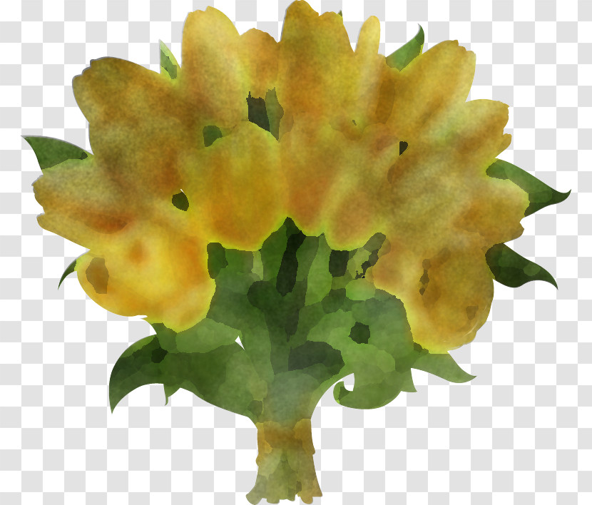 Flower Yellow Plant Petal Lantana Transparent PNG