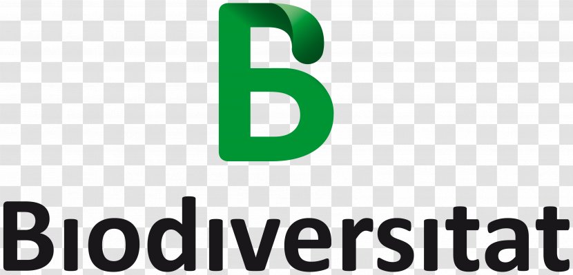 Four Brothers Group Pakistan Business Partnership Innovation Company - Diver Transparent PNG