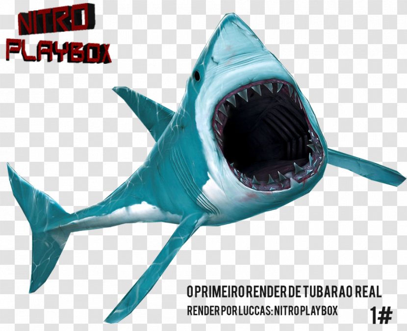 Requiem Sharks Tubarão Great White Shark Brazilian Real Transparent PNG