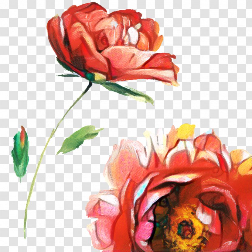 Red Watercolor Flowers - Petal - Tulip Floristry Transparent PNG