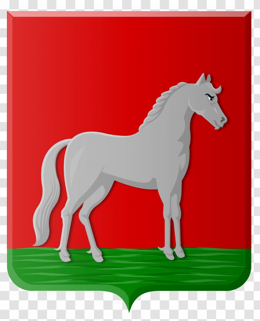 Mustang Foal Stallion Colt Pony Transparent PNG