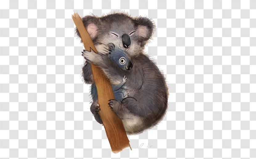 Koala Poster Illustration - Marsupial Transparent PNG