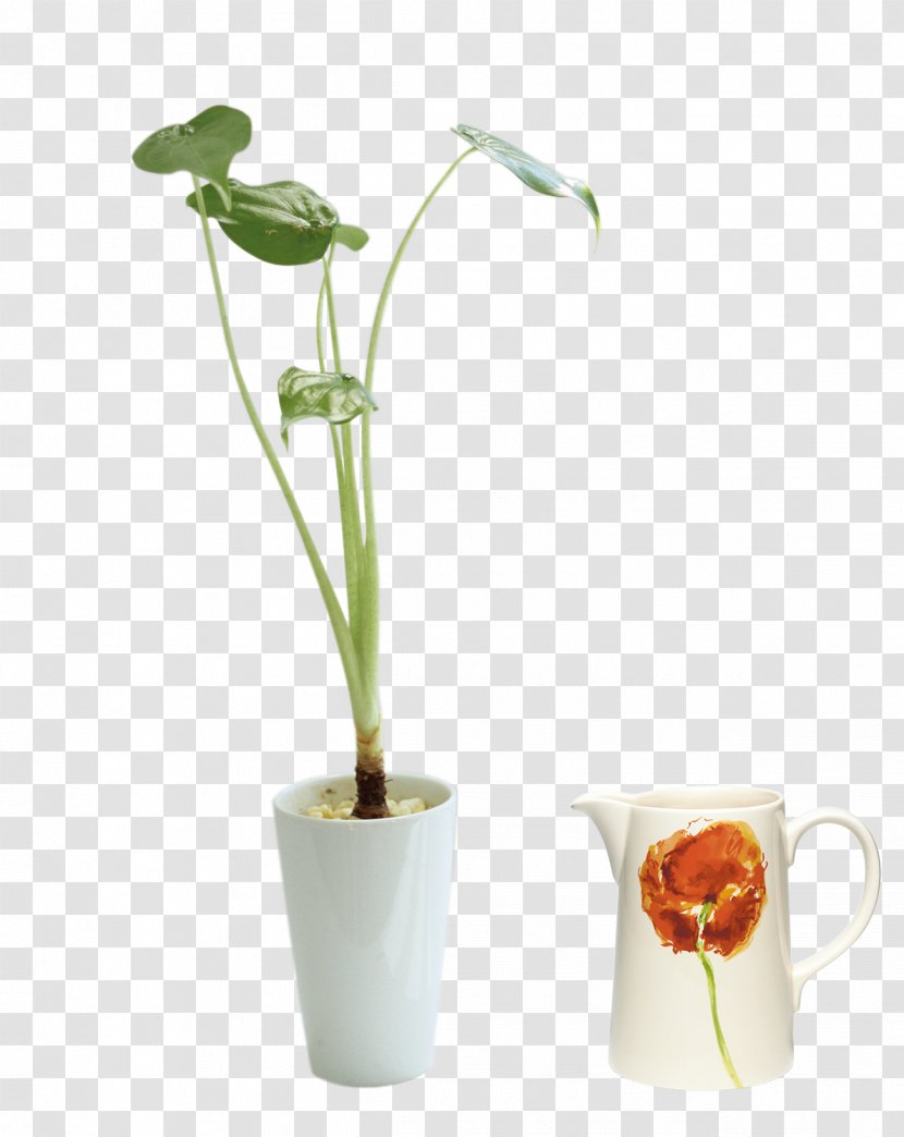 Vase Flowerpot - Ornament - Creative Pull Balcony Bonsai Free Transparent PNG