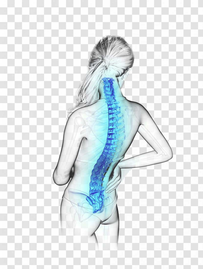 Shoulder Drawing Arm Joint - Cartoon - Back Pain Transparent PNG