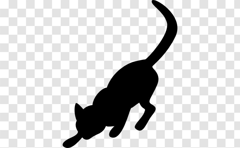 Cat White Small To Medium-sized Cats Tail Black Cat Transparent PNG