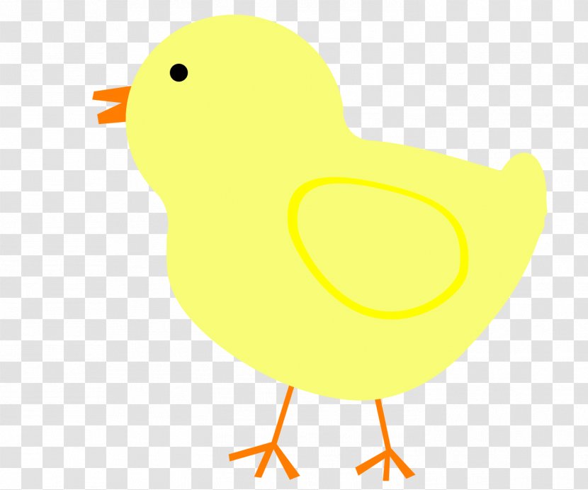 Duck Water Bird Chicken Anatidae - Animal - Easter Chick Transparent PNG