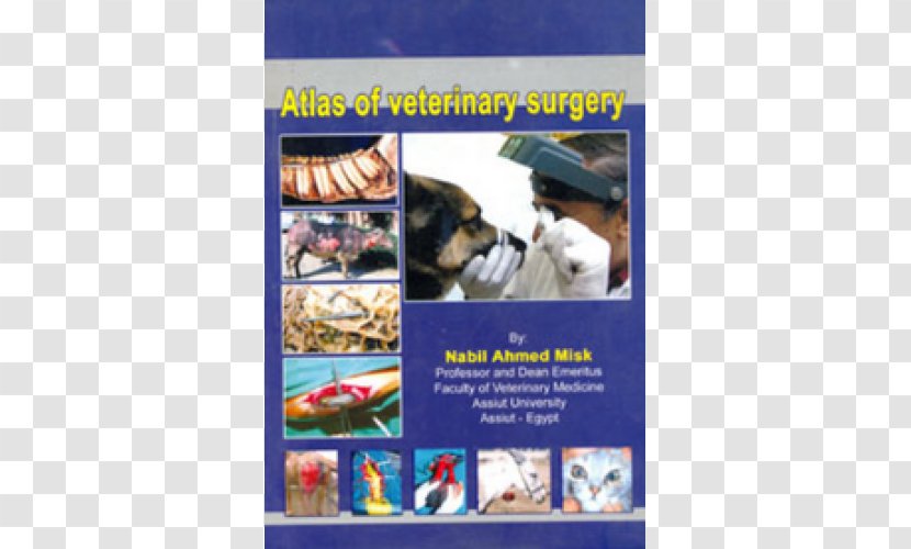 Veterinary Surgery Medicine Musk Abjad - Abbeycroft Transparent PNG