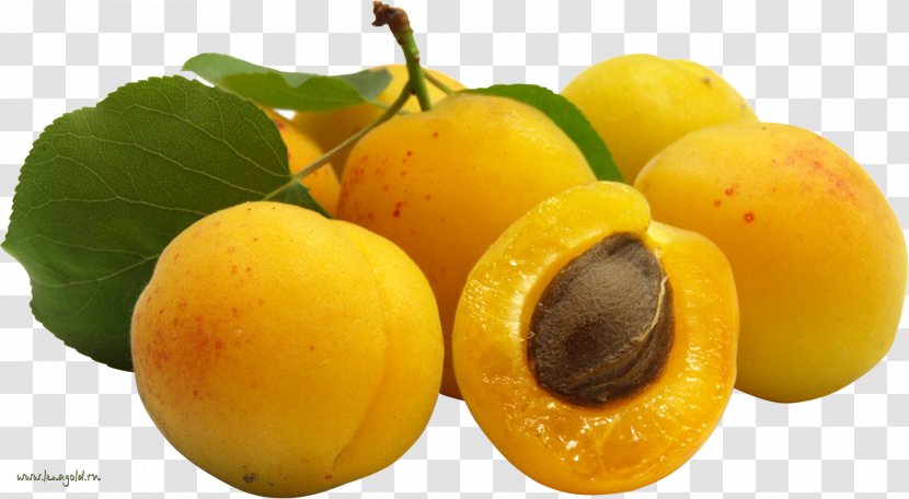 Food Fruit Apricot Nectarine - Natural Foods Transparent PNG