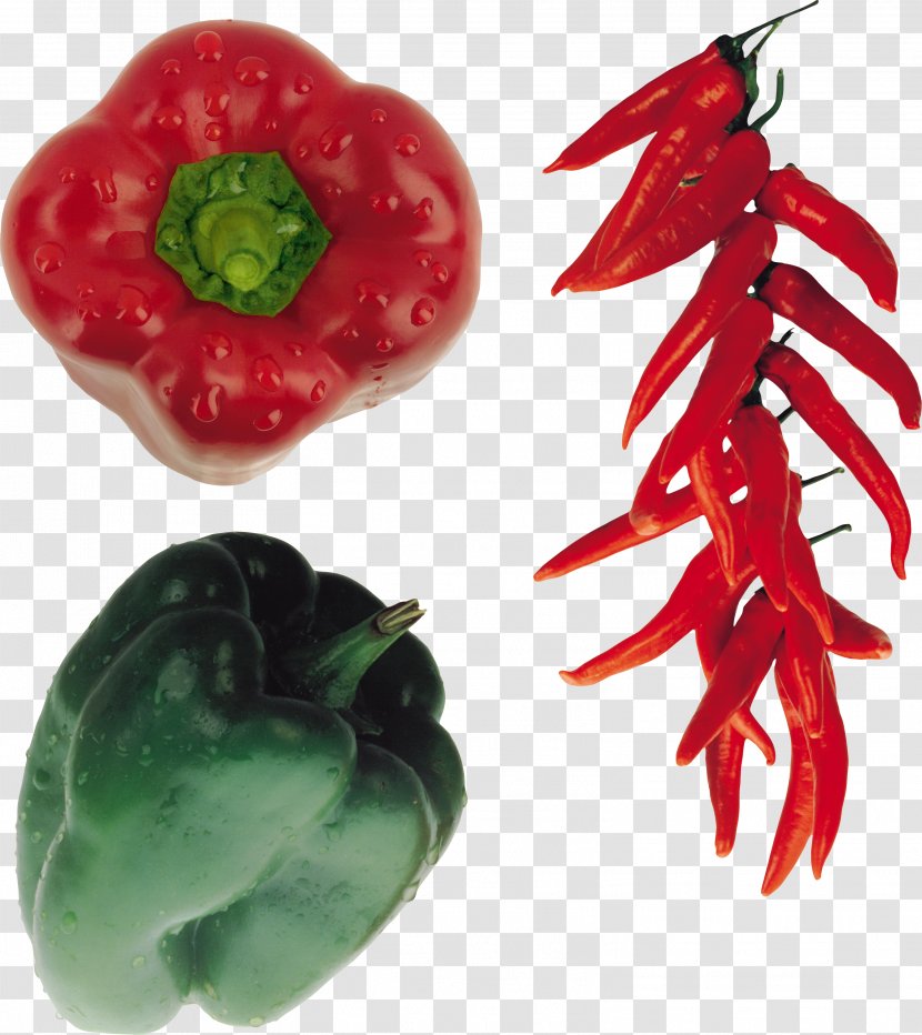 Bird's Eye Chili Cayenne Pepper Bell Vegetable Transparent PNG