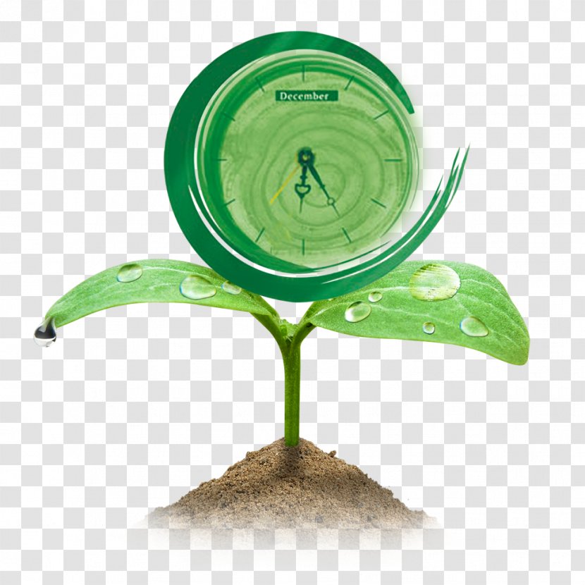 Environmental Protection And Greening Element - Plant - Grass Transparent PNG