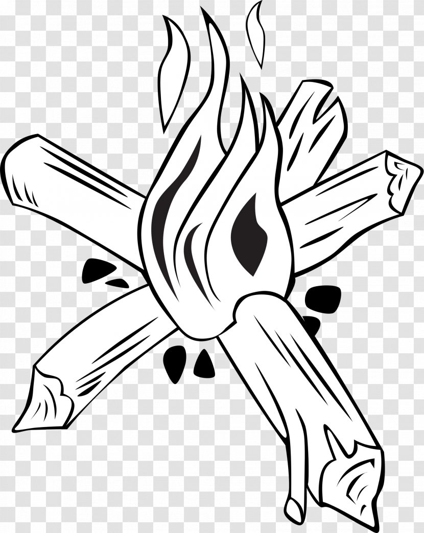 Fire Breathing Coloring Book Clip Art - Dragon - Pictures Of Campfires Transparent PNG