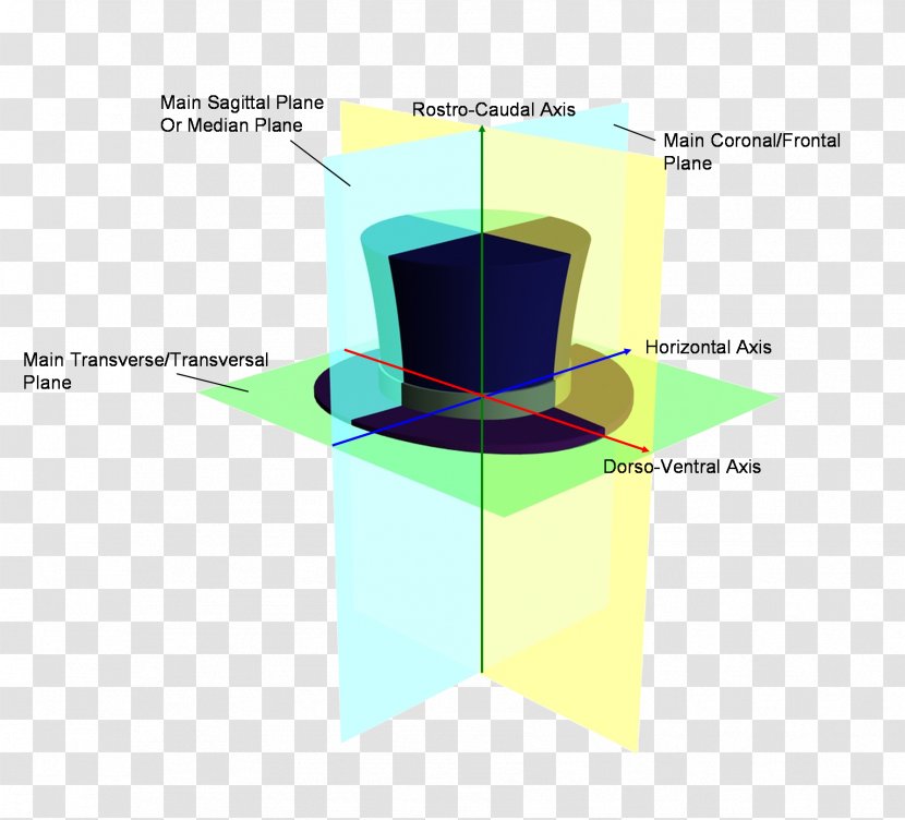 As Tail Table Angle Rotation Plane - Reference Transparent PNG