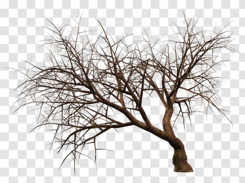 3D Rendering Tree Plant - Share Transparent PNG