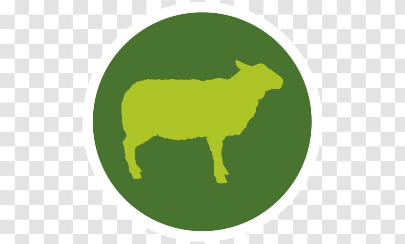 Sheep Cattle Domestic Pig Meat Packing Industry Hay - Livestock - Laborious Transparent PNG