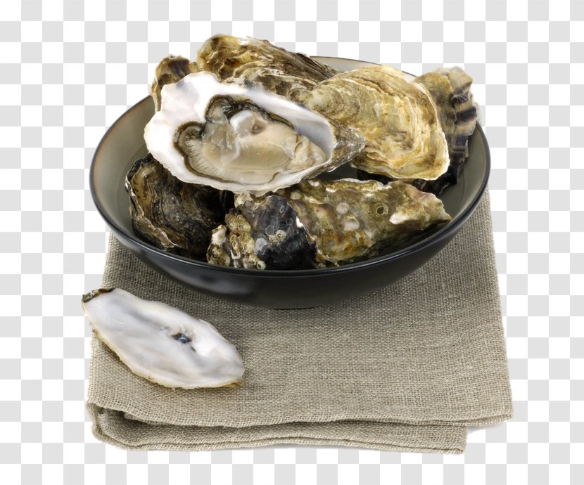 Oyster Clam Mussel Bowl - Shell Transparent PNG