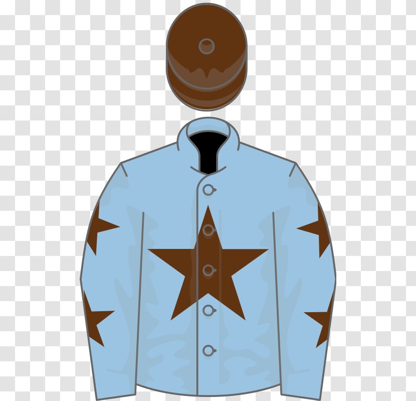 Lingfield Oaks Trial Toast Of New York Thoroughbred Star - Meter - Jacket Transparent PNG