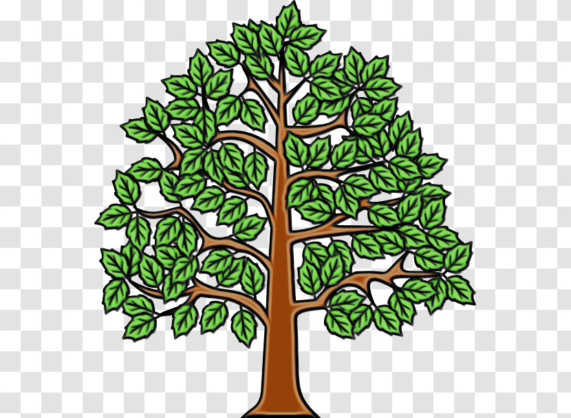 European Beech Tree Branch Wood An English Oak Tree Transparent PNG